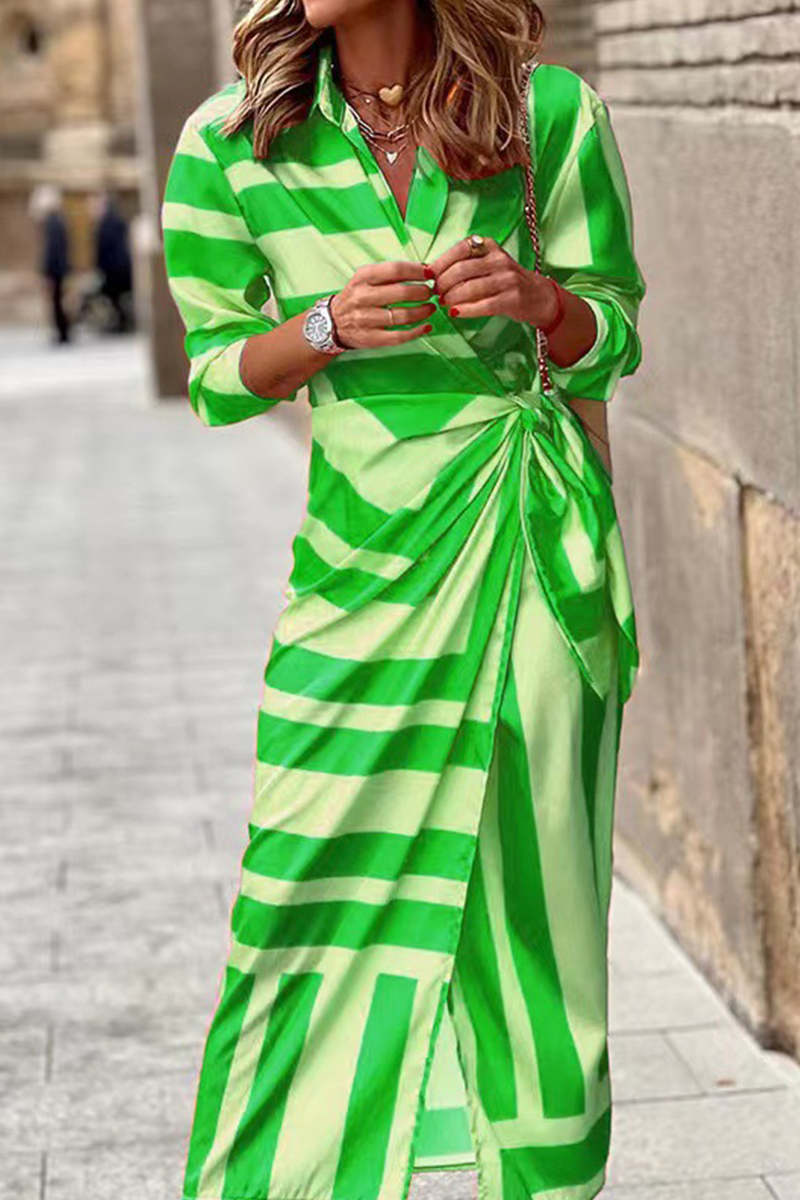 Lunimesd Fashion Print Split Joint Turndown Collar Shirt Dress Dresses(3 colors)