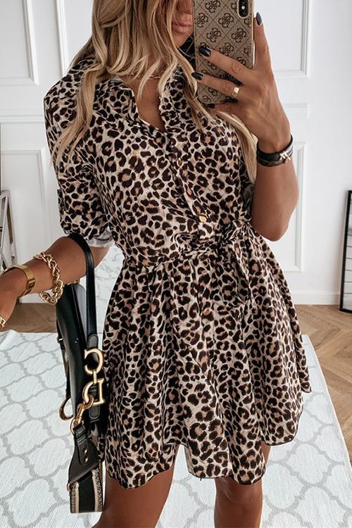 Lunimesd Animal Print Belted Mini Dress
