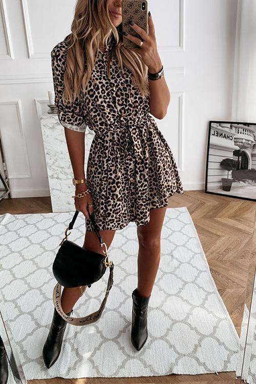 Lunimesd Animal Print Belted Mini Dress