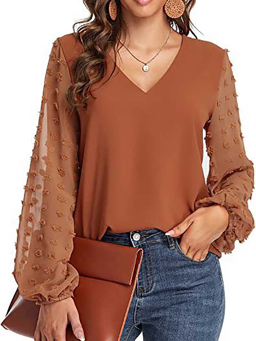 Lunimesd V-Neck Chiffon Long Sleeve Top
