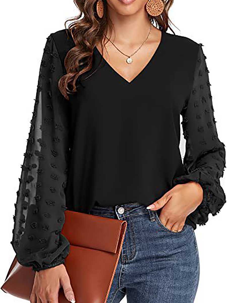 Lunimesd V-Neck Chiffon Long Sleeve Top