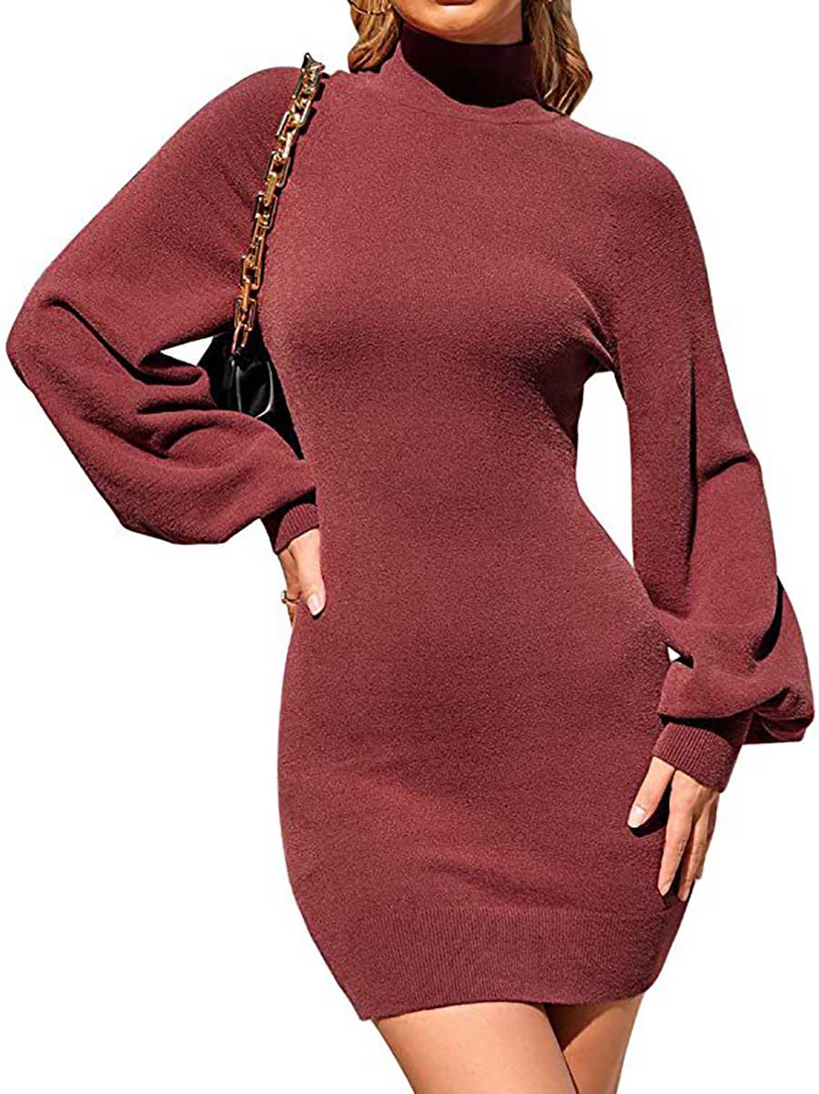 Lunimesd Turtleneck Knit Sweater Dress