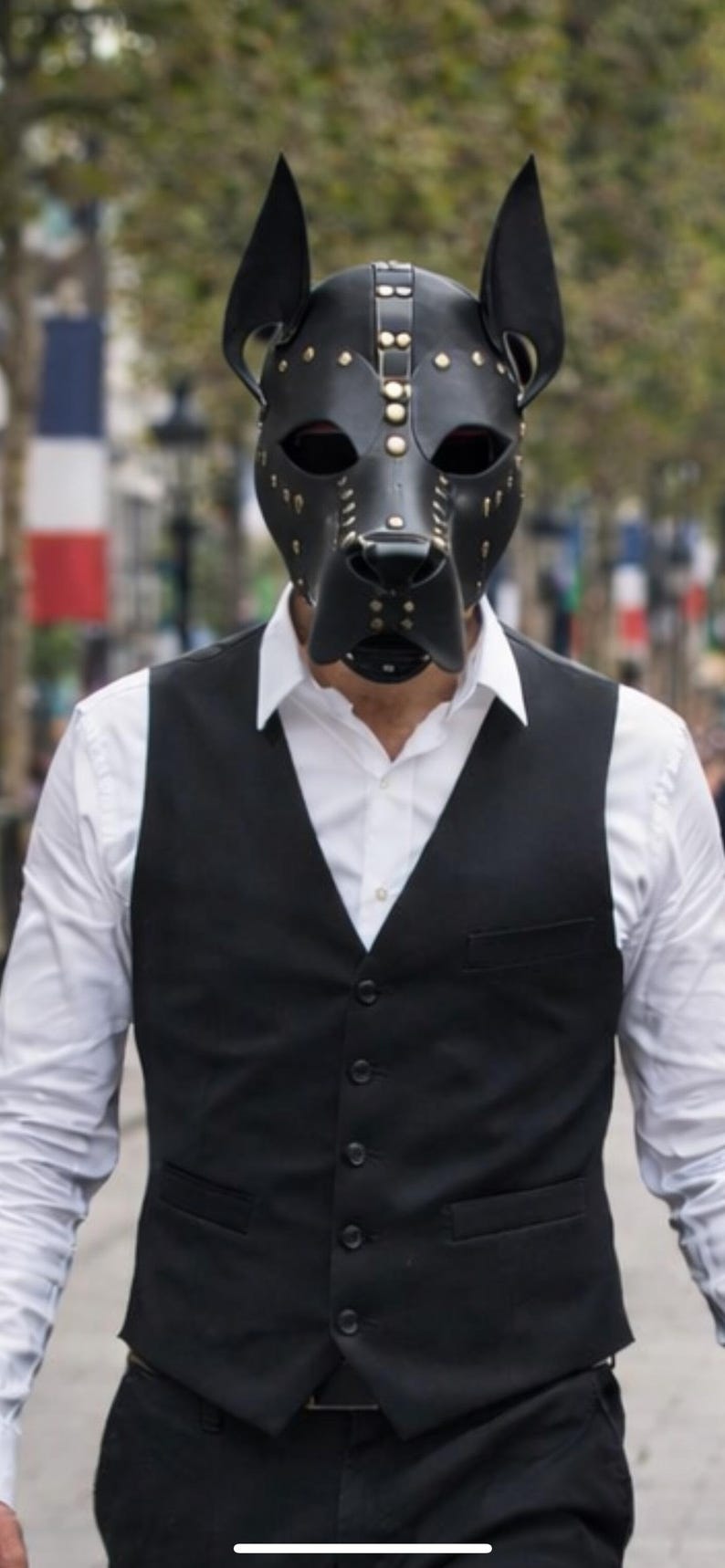 Iron Warden Dog Mask 144